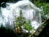 083110_15361.jpg 083110_15361.jpg