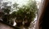 IMAG0118.jpg