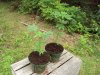 DSC00898.jpg