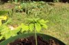 DSC00886.jpg