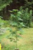DSC00915.jpg