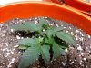2010-09-01 23.52.42.jpg