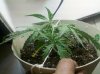 IMG_20100830_224756.jpg