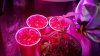 2010-09-07_06-41-24_277.jpg 2010-09-07_06-41-24_277.jpg