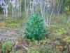outdoors 023.jpg