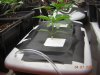 hydro attempt 009.jpg