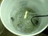 bucket2.jpg bucket2.jpg
