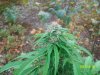 outdoors 030.jpg