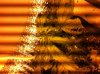 photo-1.jpg