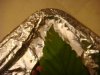 DSC08640.jpg
