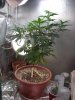 DSCN1877.jpg DSCN1877.jpg