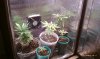 IMAG0382.jpg