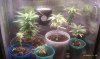 IMAG0439.jpg