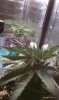 IMAG0329.jpg