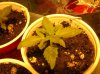 DSCN0673.jpg