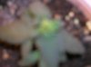 DSCN0678.jpg