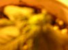 DSCN0681.jpg