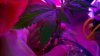2010-09-10_16-18-04_721.jpg