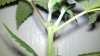2010-09-10_16-50-33_467.jpg