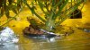DSC05335.jpg