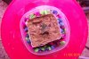 100_1230.jpg