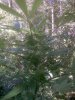 IMG00021.jpg