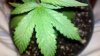 2010-09-11_23-12-32_458.jpg 2010-09-11_23-12-32_458.jpg