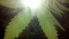 2010-09-11_23-14-52_940.jpg