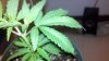 2010-09-11_23-12-25_320.jpg 2010-09-11_23-12-25_320.jpg