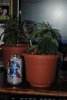 week 3 #2 011.jpg week 3 #2 011.jpg