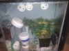 IMG_20100913_142413.jpg