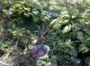 IMG_20100914_122001.jpg