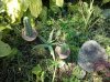 IMG_20100914_121942.jpg