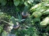 IMG_20100914_121955.jpg