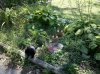 IMG_20100914_122047.jpg