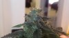 2010-09-14_11-28-08_766.jpg