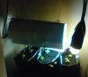010408_05.JPG