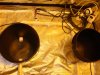 DSC03176.jpg