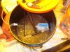 DSC03184.jpg