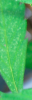 Picture 1.png Picture 1.png