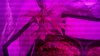 2010-09-16_22-15-23_172.jpg 2010-09-16_22-15-23_172.jpg