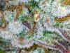 harvest-trich-2.jpg