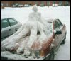Snow_Car_Sex.jpg