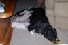 000_0009.jpg 000_0009.jpg