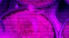 2010-09-18_16-42-13_317.jpg