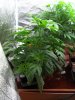 week05_05.jpg