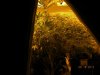 DSCN1544.jpg DSCN1544.jpg