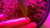2010-09-21_09-03-40_320.jpg 2010-09-21_09-03-40_320.jpg
