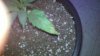 2010-09-21_17-00-08_636.jpg
