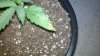 2010-09-21_16-59-51_170.jpg